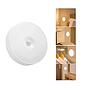 Luz Fria Led Recargable con Sensor