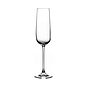 Juego De 6 Copas Champán Cristal Edelita 250ML