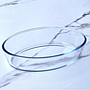 Bandeja Refractaria Ovalada Hornear 26cm 